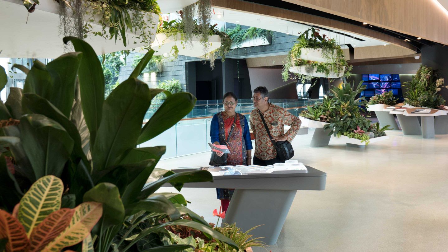 13 Milla Changi Experience Studio