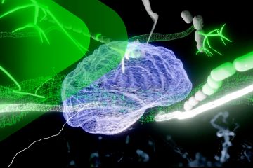 Emotionale Intelligence